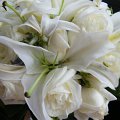 DSCF0222 (2)